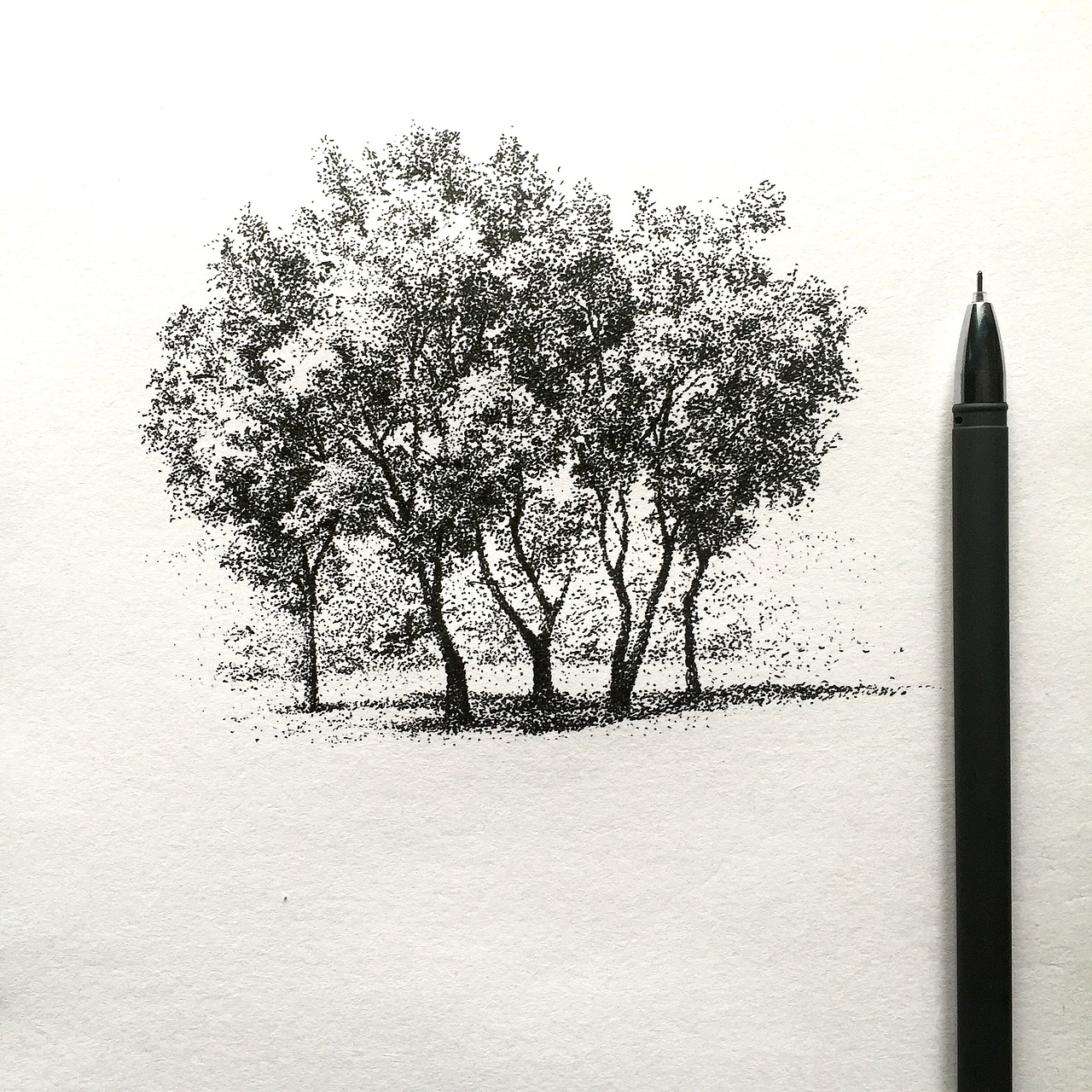 外加一个薛之谦要更新画作还需要一定的时间…先炒冷饭…自然的事物