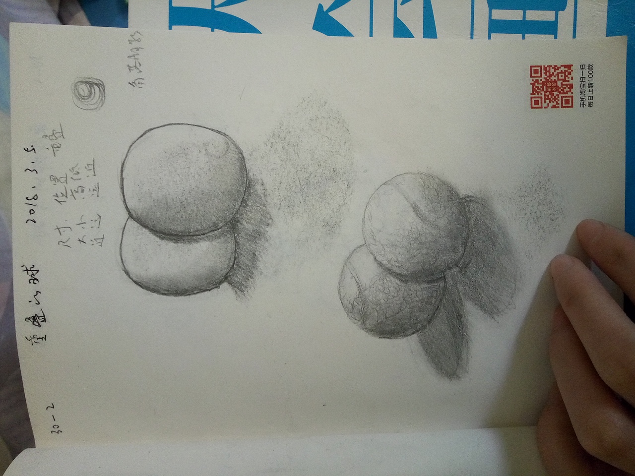 绘画学习作品（图ZMTEzNzg5MjQ4） - 绘画 - 站酷设计师紫色风铃250168原创素材 - 站酷ZCOOL