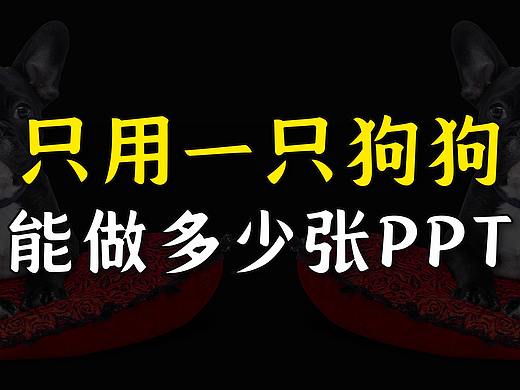 挑战：只用一只狗狗，能做多少张PPT？