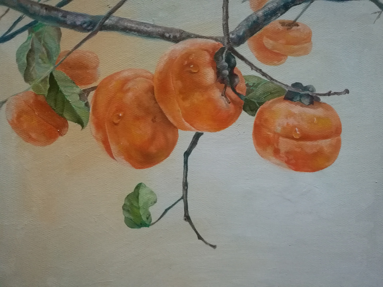 柿子油画
