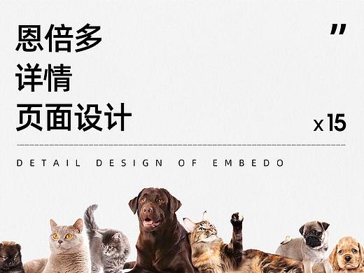 恩倍多宠物药品视觉案例