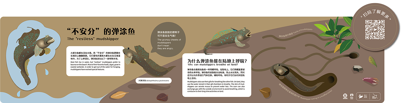 深圳湾公园湿地主题解说牌(图ZMjk1MDM4MzI4) - 图案 - 站酷设计师tofu豆腐原创素材 - 站酷ZCOOL