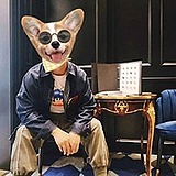 用户头像