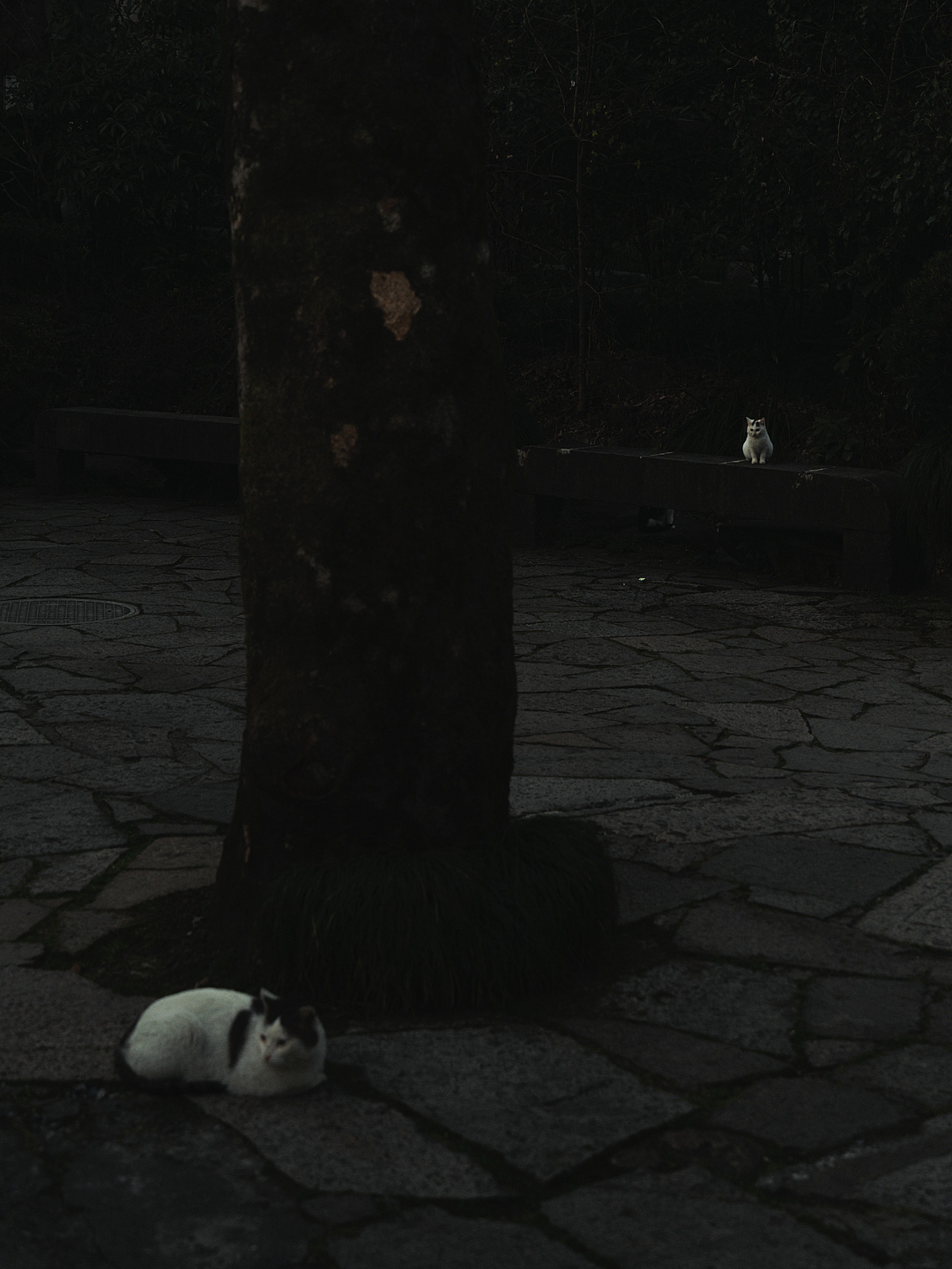 杭州永福寺、灵隐寺周边街拍（图ZMjkxMTI4MTYw） - 人文/纪实摄影 - 站酷设计师摄影师康超凡原创素材 - 站酷ZCOOL