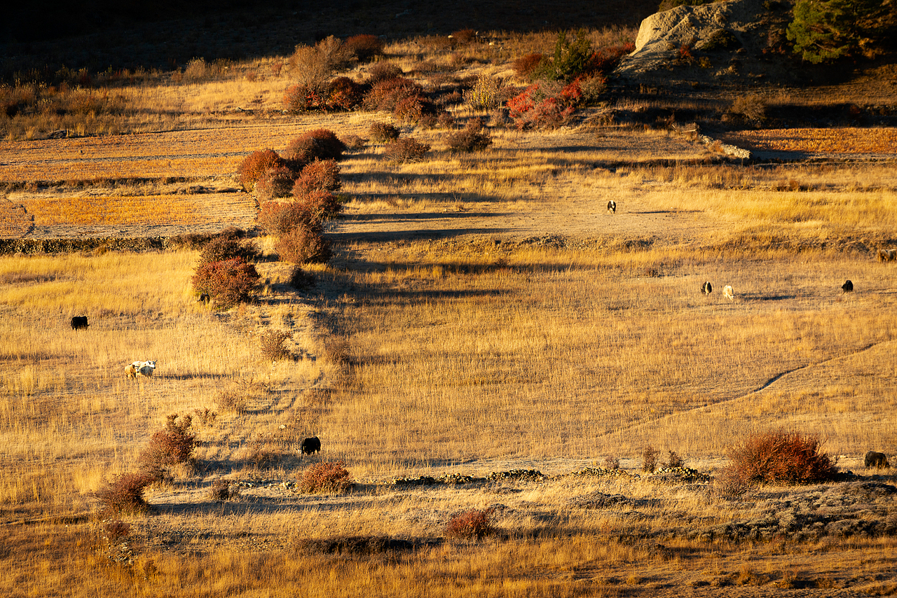 2018年秋尼泊尔行之风光记录（图ZMjEyMjQzNzU2） - 风光摄影 - 站酷设计师摄影师康超凡原创素材 - 站酷ZCOOL