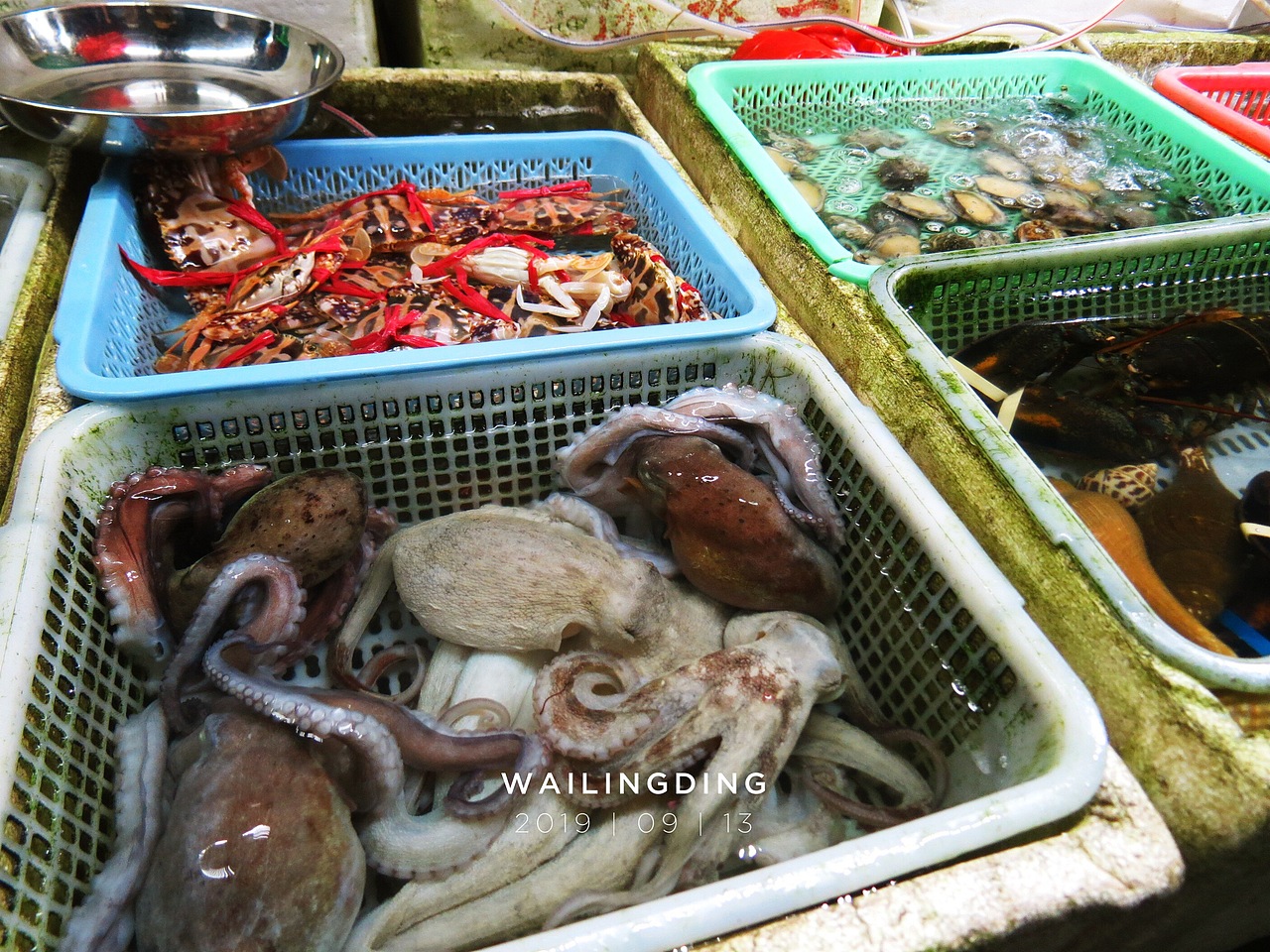 伶仃洋里叹零丁