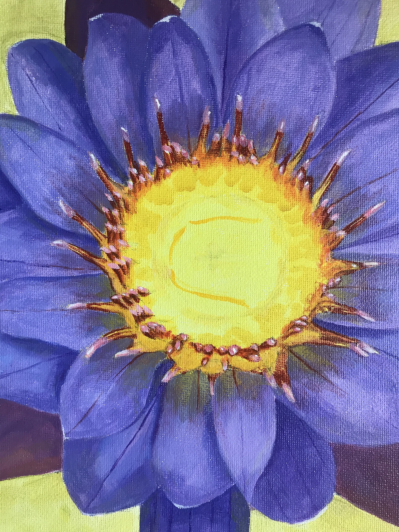 丙烯画莲花荷花