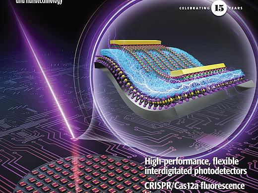 科研绘图SCI画图学术杂志封面设计TOC示意图医学插图