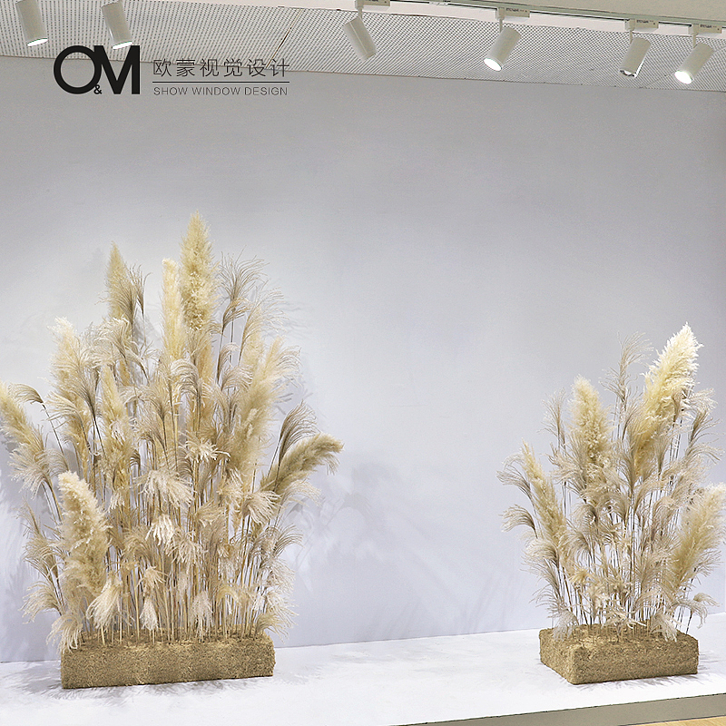 秋季芦苇橱窗（图ZMTczNTg4MTA4） - 展陈设计 - 站酷设计师OM橱窗设计原创素材 - 站酷ZCOOL