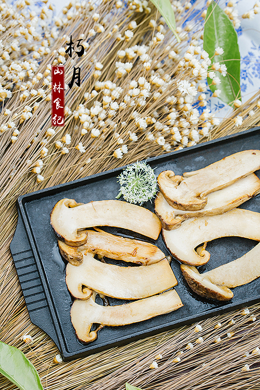 山林食纪 | 朽月壁纸