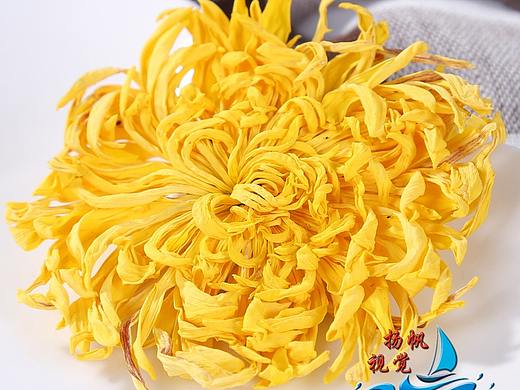 郑州扬帆视觉商业拍摄服装拍摄产品拍摄