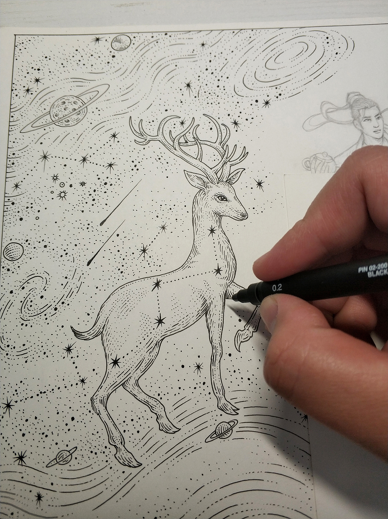 我为八马茶业“鹿与茶鲸”画的包装插画