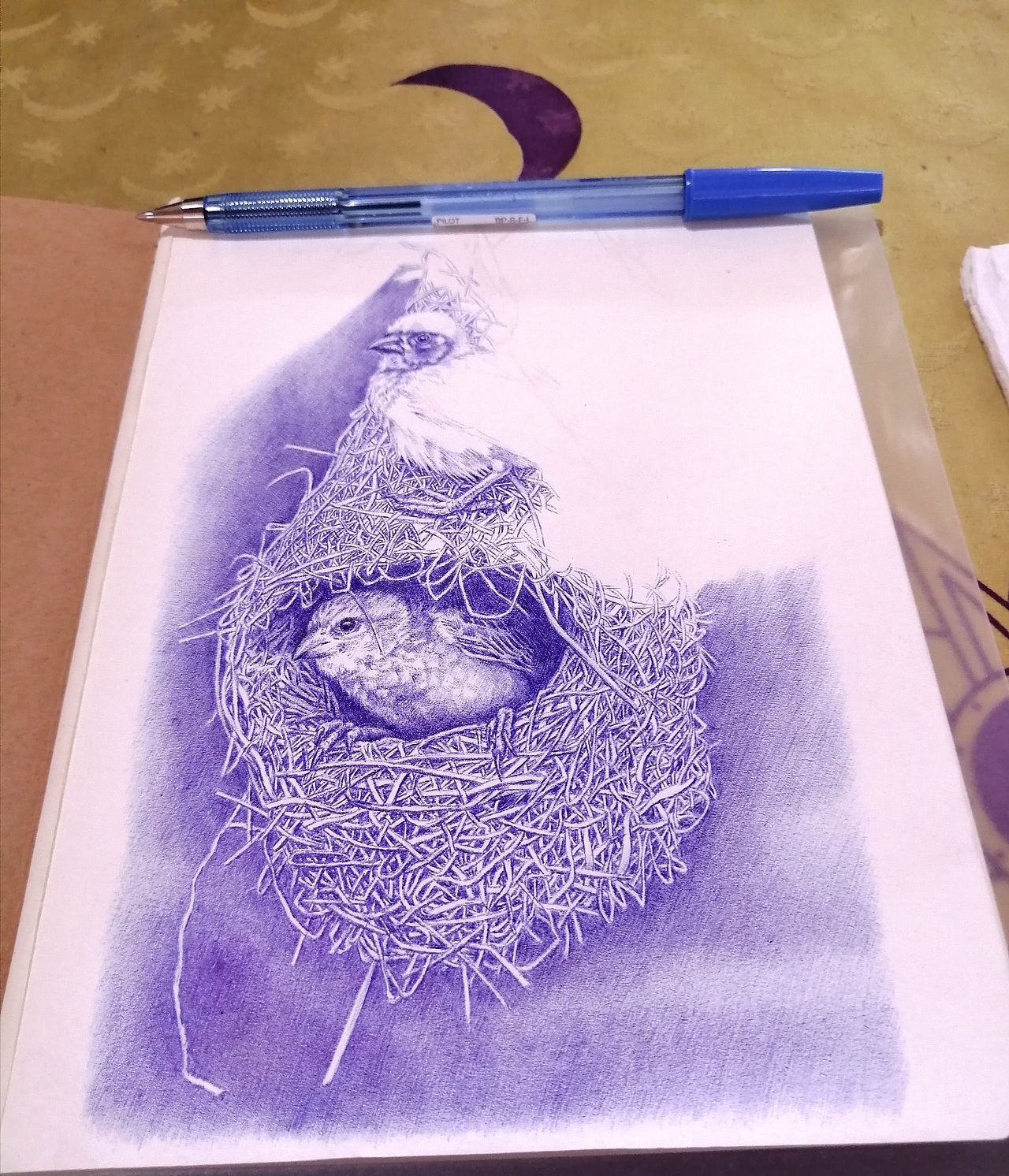 老男孩圆珠笔画《窝居》