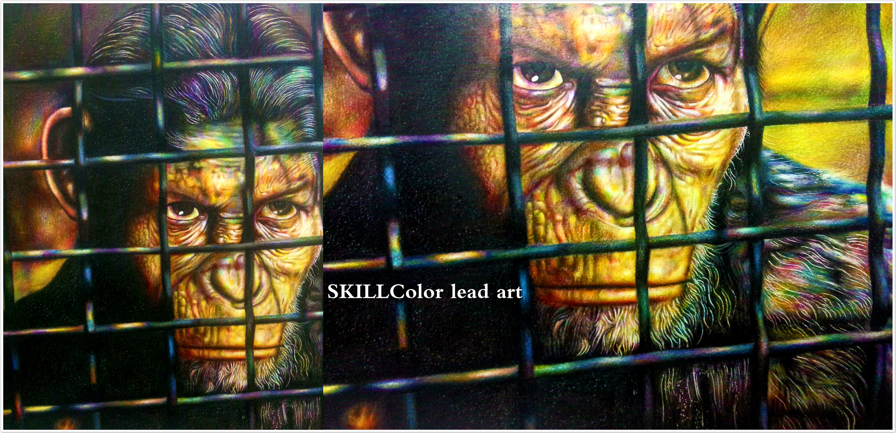 猩猩崛起《牢狱之灾》