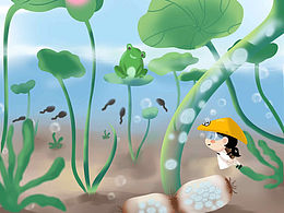 荷花相关知识科普系列插画