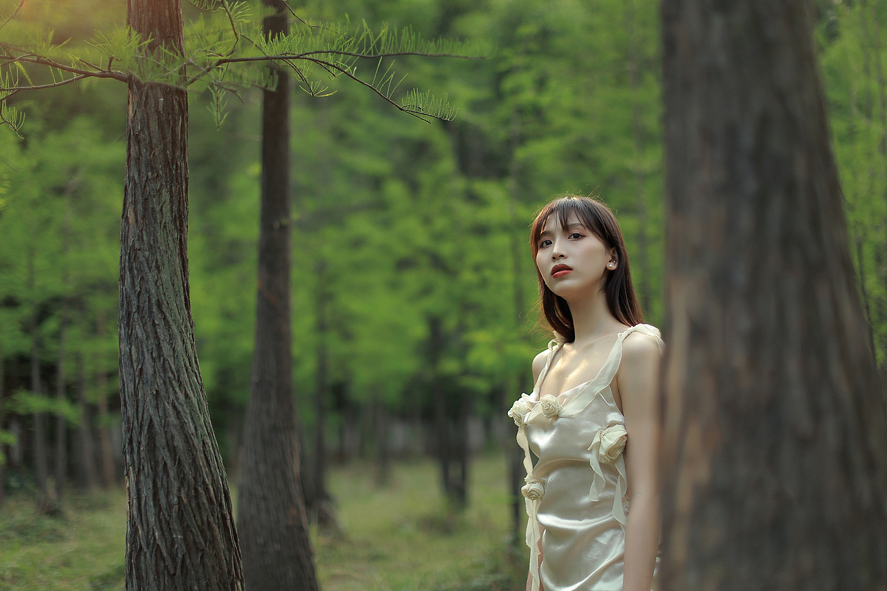 深林之中,不知归处