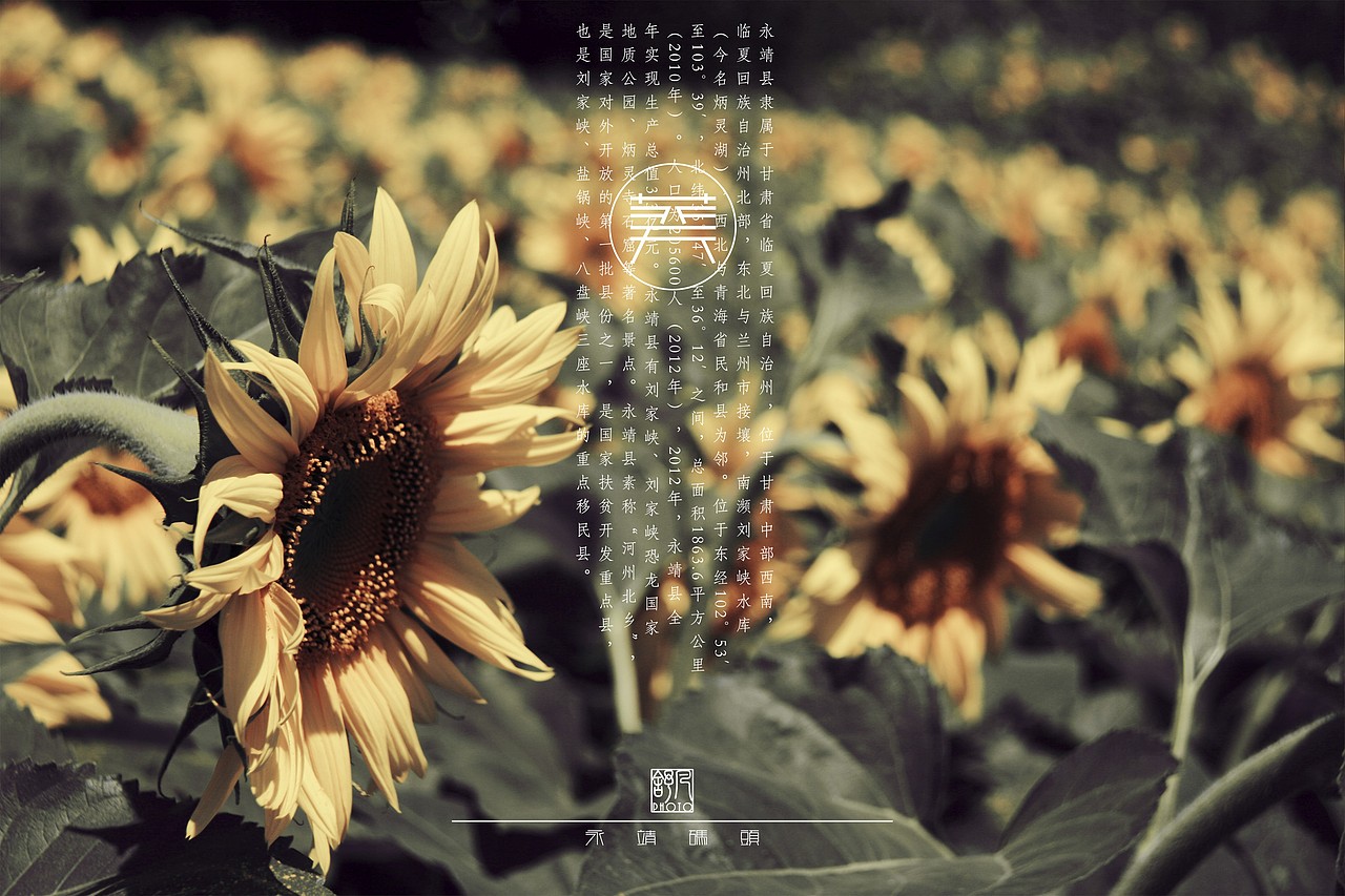 临夏 志（图ZMzAxMjI2MDA=） - 风光摄影 - 站酷设计师熟饭要发光原创素材 - 站酷ZCOOL