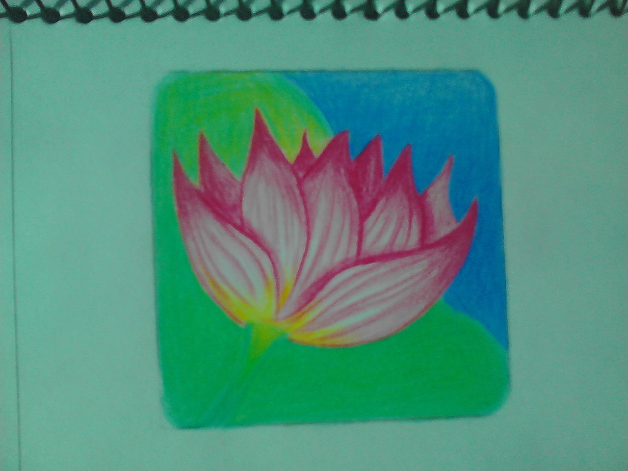 四季—夏(荷花)