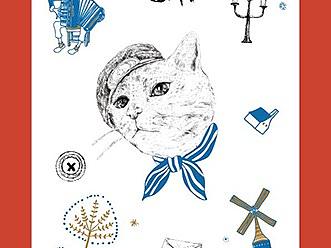 英俊的猫