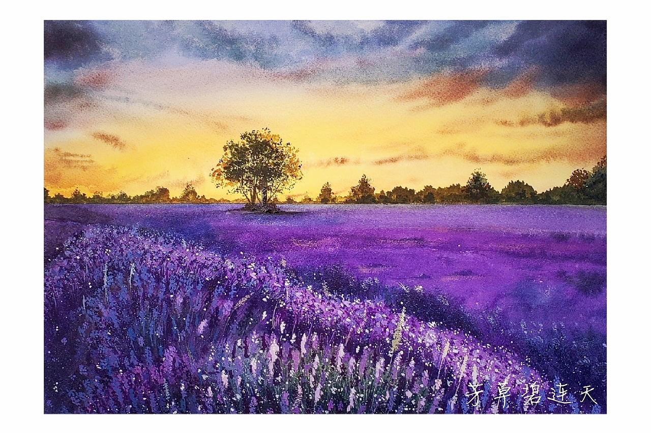 水彩风景薰衣草田 芳草碧连天