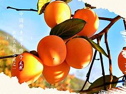 柿饼详情页