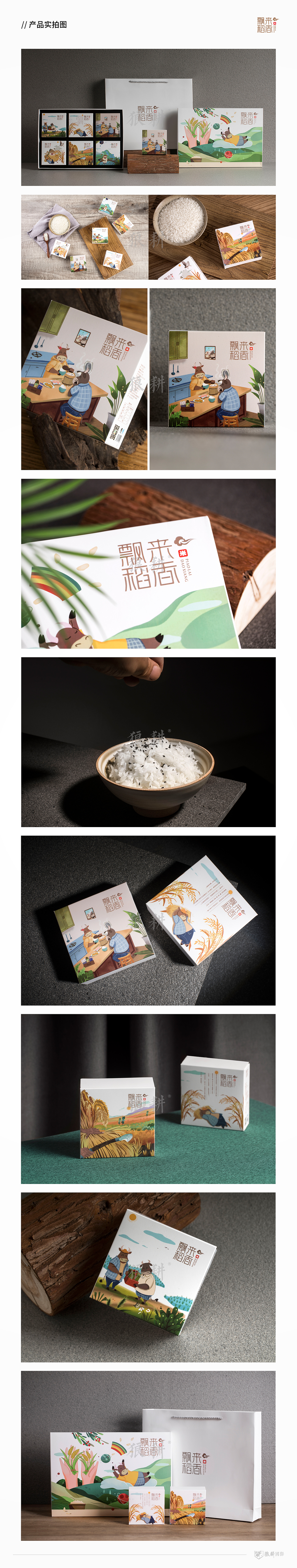 飘来稻香大米品牌设计