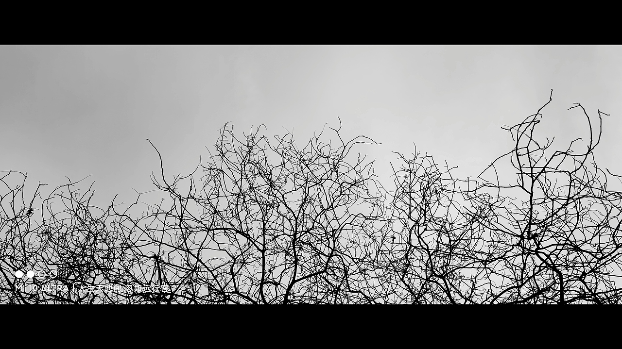 随笔（图ZMjUxNTA0NjMy） - 风光摄影 - 站酷设计师宫黎原创素材 - 站酷ZCOOL