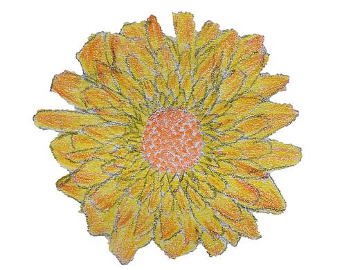 茶的插画