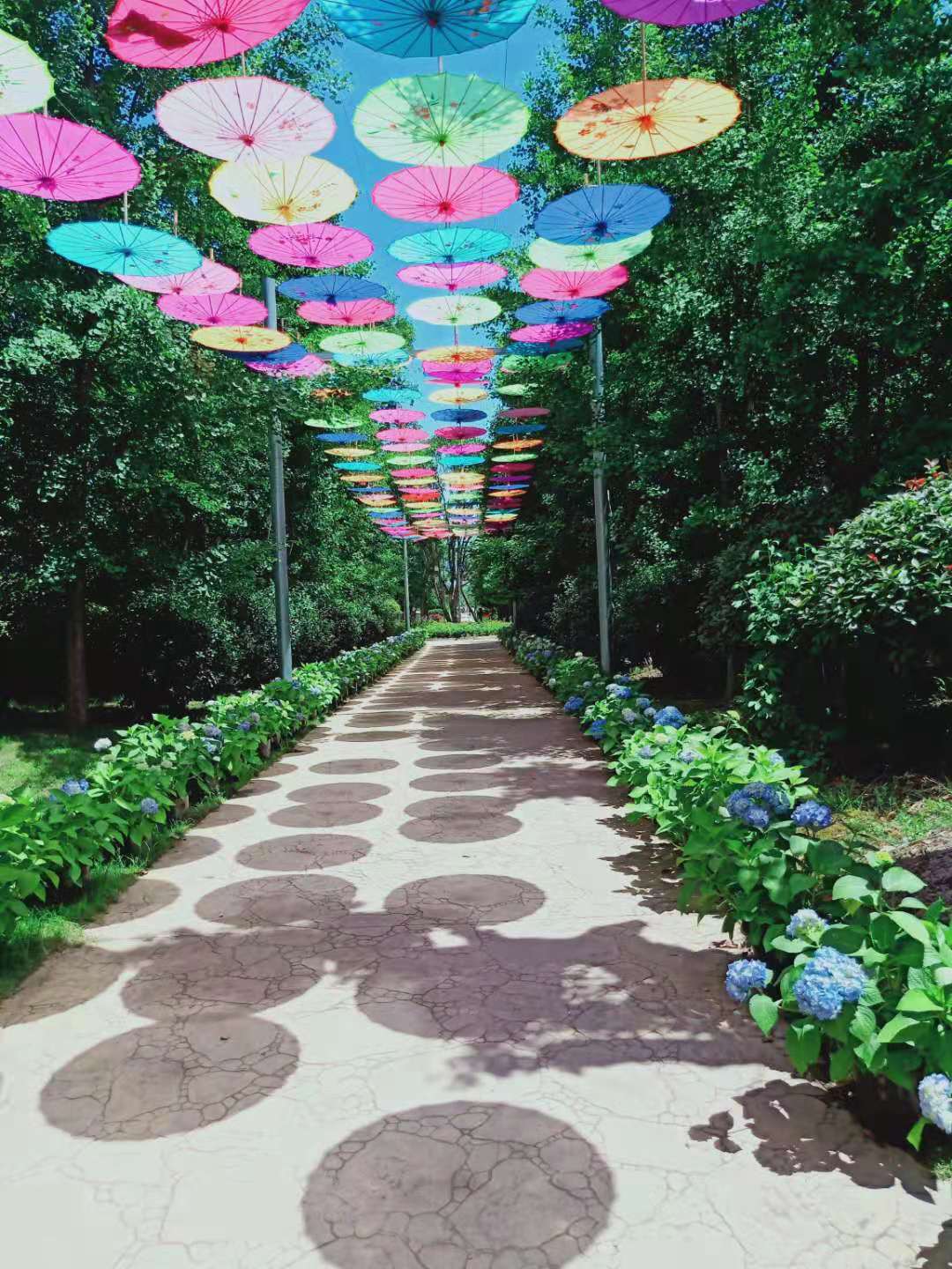 威威妹儿的个人主页（背景预览） - 主页背景设置 - 站酷设计师威威妹儿原创素材 - 站酷ZCOOL