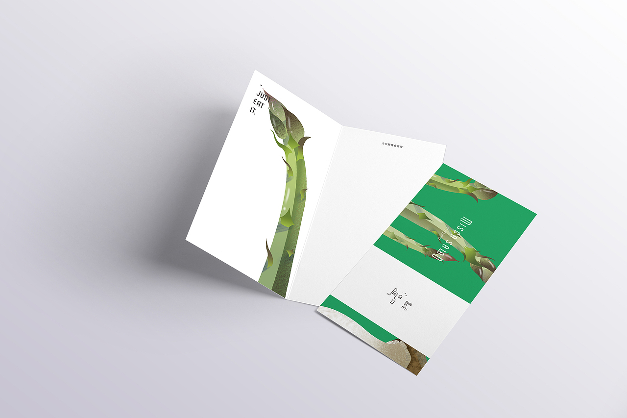 MISCA salad 米司卡沙拉 vi及外送包装 撞色方案（图ZNTcyOTU2MzI=） - 品牌 - 站酷设计师DDD李超原创素材 - 站酷ZCOOL