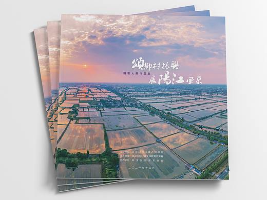 颂乡村振兴 展阳江风采