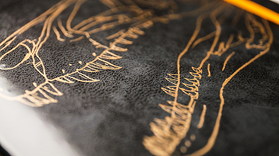 Trex古生物笔记本限量版（图ZNjM1NTQ1OTI=） - 书籍/画册 - 站酷设计师Major李茂豪原创素材 - 站酷ZCOOL