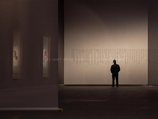 济南瑞光建筑空间摄影——山东美术馆齐白石特展