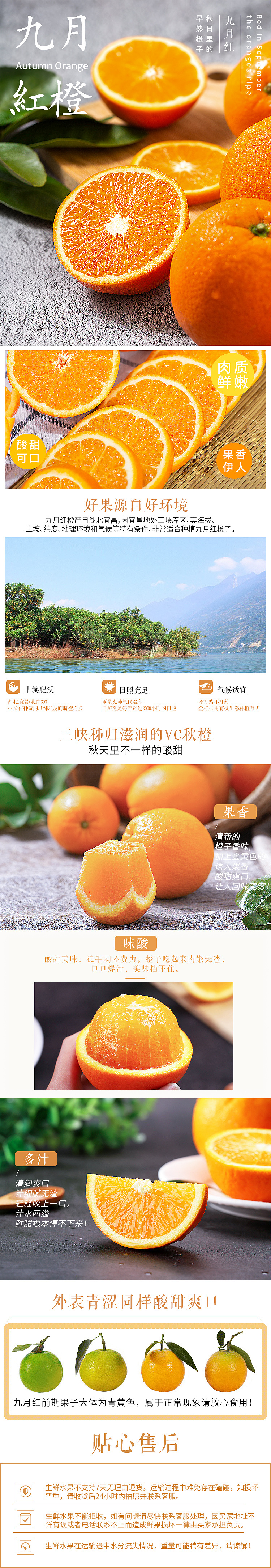 九月红橙子（图ZMTgyMDU5Mzg0） - 电商 - 站酷设计师一斥子染原创素材 - 站酷ZCOOL