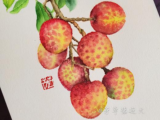原創(chuàng)水彩水果荔枝步驟圖 芳草碧連天（個(gè)人主頁(yè)-ZNDMwOTU2NzI=） - 繪畫 - 站酷設(shè)計(jì)師芳草碧連天水彩原創(chuàng)素材 - 站酷ZCOOL