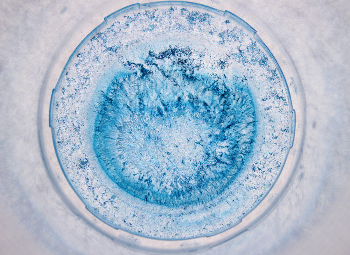 五颜六色（图ZMjAwNzMwNDU2） - 产品摄影 - 站酷设计师什么都不灰灰原创素材 - 站酷ZCOOL