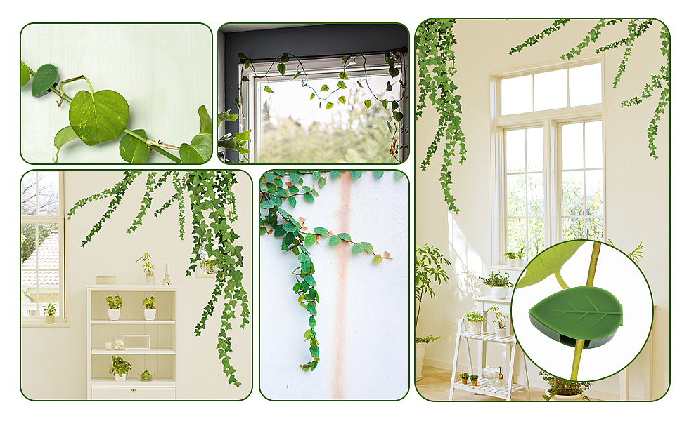 亚马逊产品【植物固定器】主图 | A+