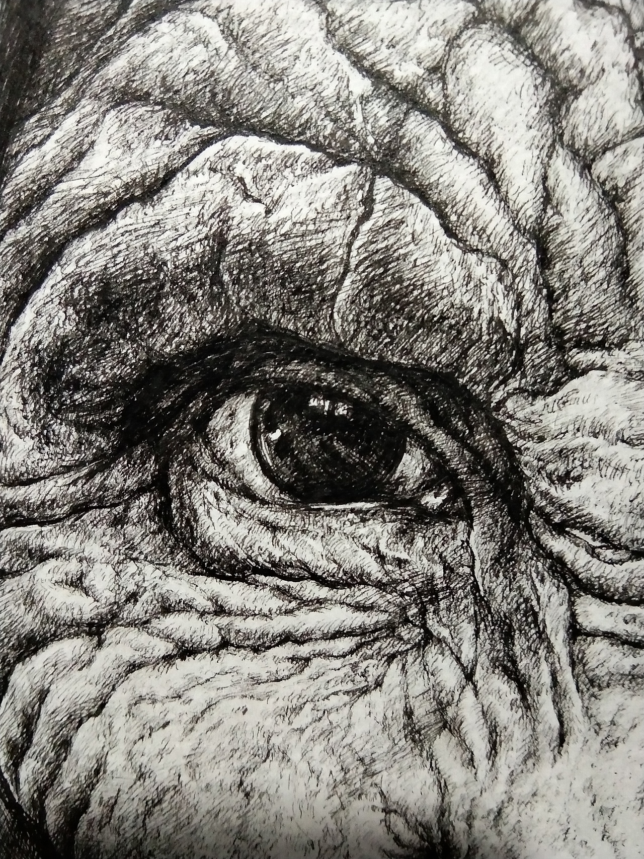 钢笔画素描写实人物藏族岁月