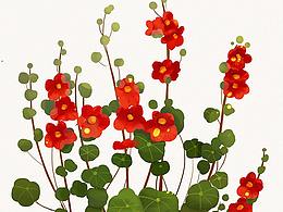 7-10月速涂练习总结