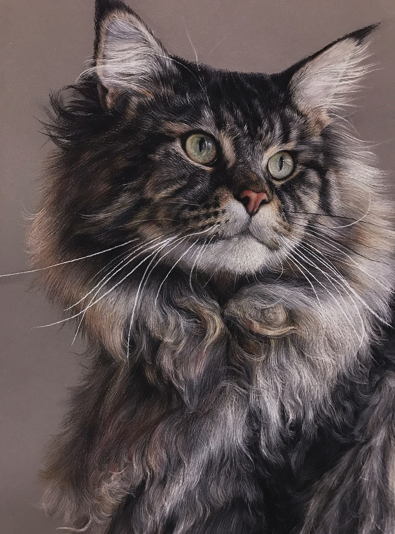 猫不语系列02（图ZMzAxMjA5OTQ4） - 绘画 - 站酷设计师暖山与光海原创素材 - 站酷ZCOOL