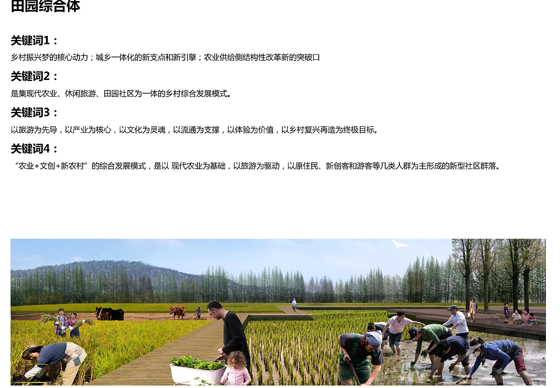 田园综合体/森林康养/亲子农场