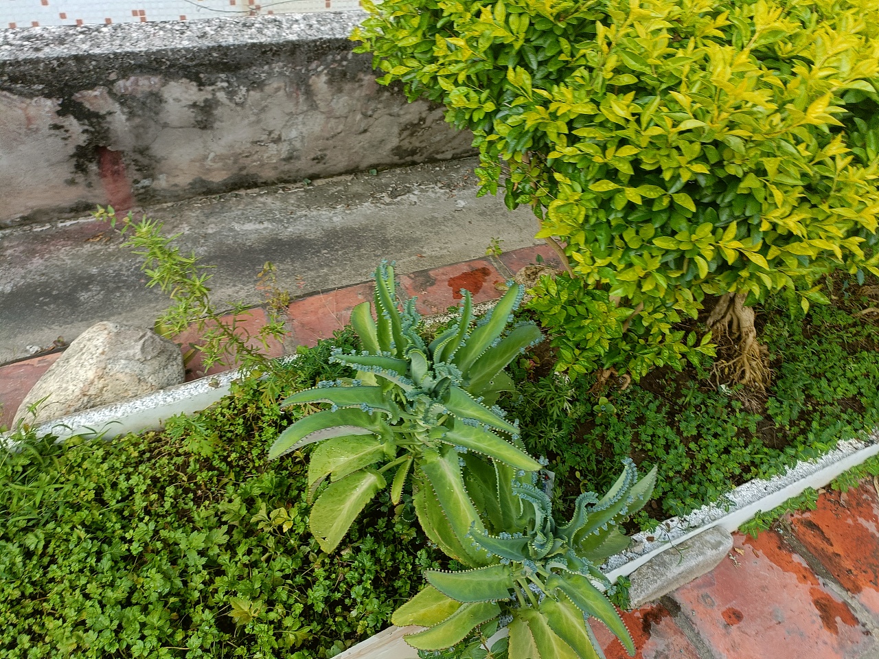 《心泛起了涟漪》