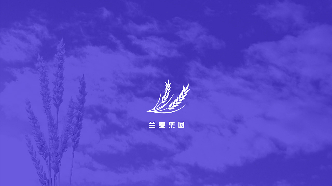VI（图ZOTg3NTc1MTY=） - 包装 - 站酷设计师陈美丽呦原创素材 - 站酷ZCOOL
