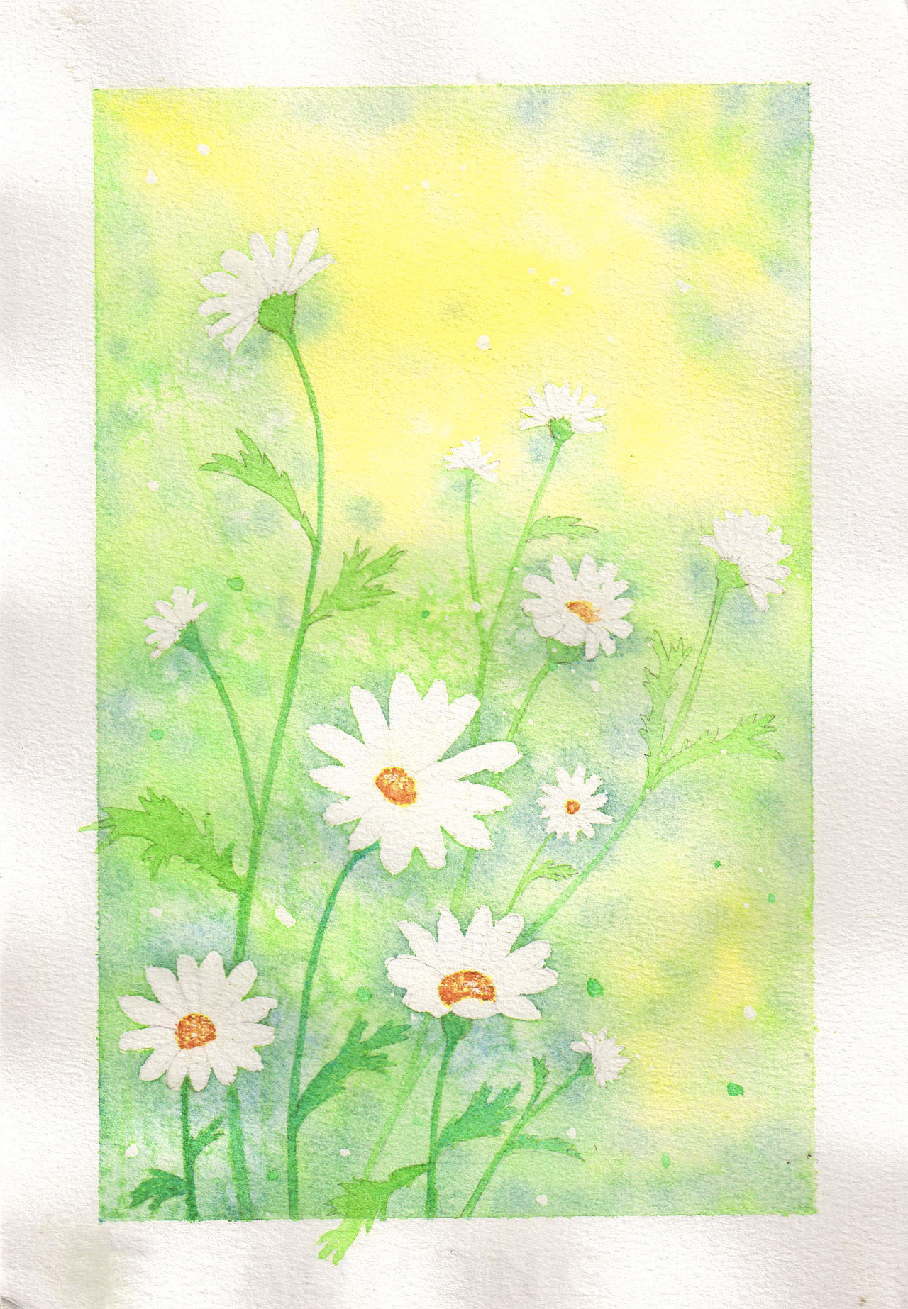 每周一画-玛格丽特