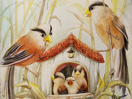 震旦鴉雀（個(gè)人主頁(yè)-ZMjkxNjQzNjA=） - 繪畫 - 站酷設(shè)計(jì)師宛青是我原創(chuàng)素材 - 站酷ZCOOL