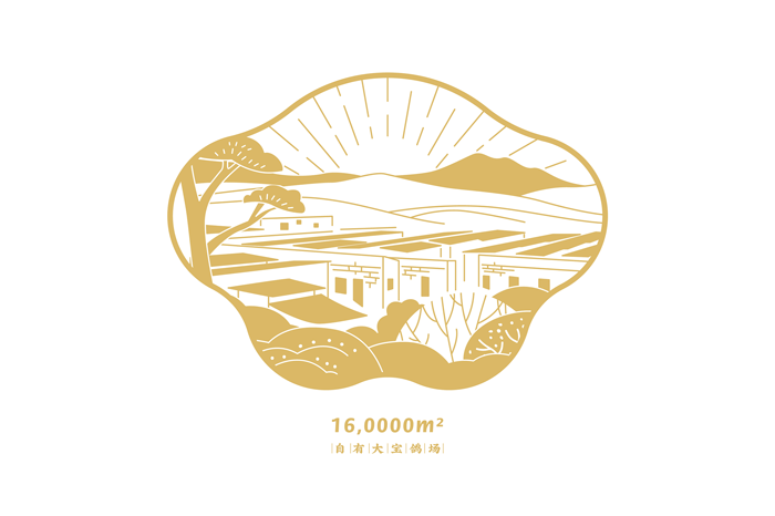 熊猫品牌设计——光明鸽(图ZMjExMzQ5NDAw) - 品牌 - 站酷设计师pandashenzhen原创素材 - 站酷ZCOOL
