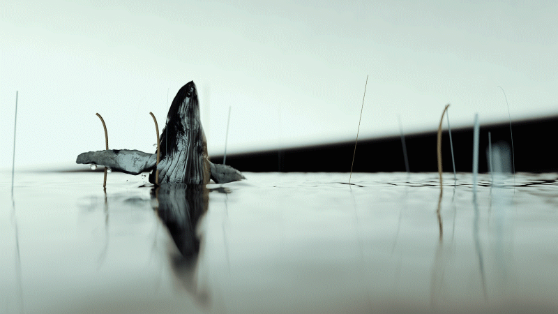 RANVOO运动蓝牙耳机（图ZMTYzNjgyNTYw） - 动画/影视 - 站酷设计师观察者s原创素材 - 站酷ZCOOL