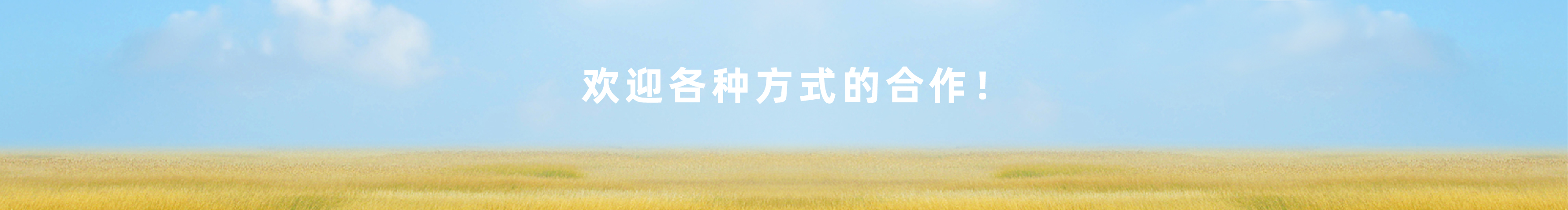 enjoy木落的个人主页（封面预览） - 主页封面设置 - 站酷设计师enjoy木落原创素材 - 站酷ZCOOL