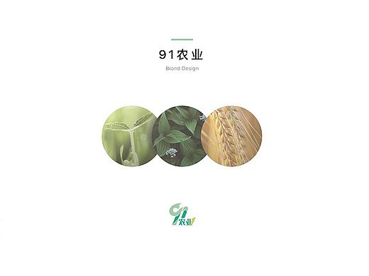 农业vi