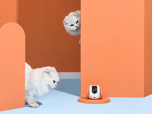 宠物产品/宠物用品之猫咪智能陪伴机器人